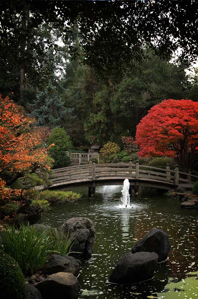 japanese-garden | Dr. Eric FitzMedrud